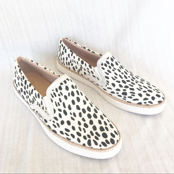 soleda exotic sneaker